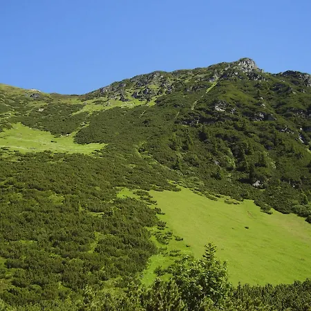 Spitaler Ried im Zillertal