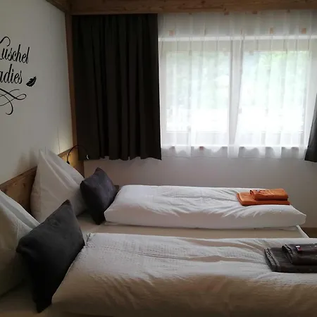 Appartement Spitaler Ried im Zillertal